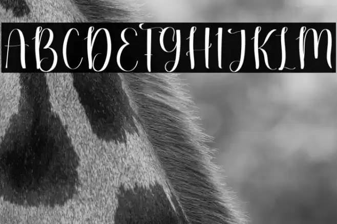 Simple Mandala フォント examples