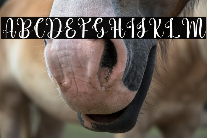 Simple Minimalist Example 1