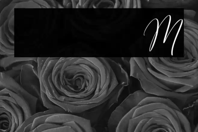 Simple Monologue DEMO Regular Font examples