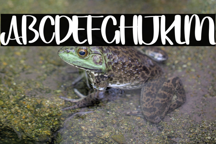 Simple  Night Example 1