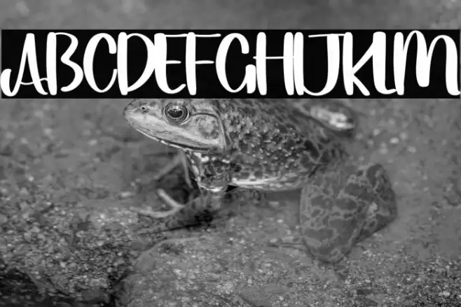 Simple  Night Font examples