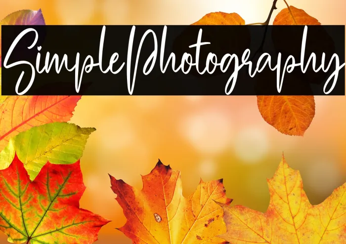 Simple Photography Example 3