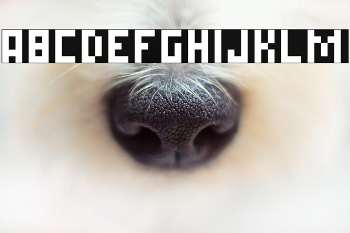 Simple Pixel Regular Example 2