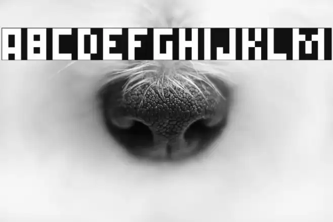 Simple Pixel Regular Font examples