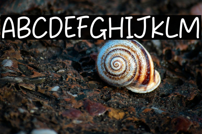 Simple Plan Example 2