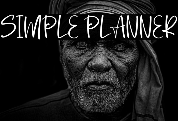 Simple Planner Example 1