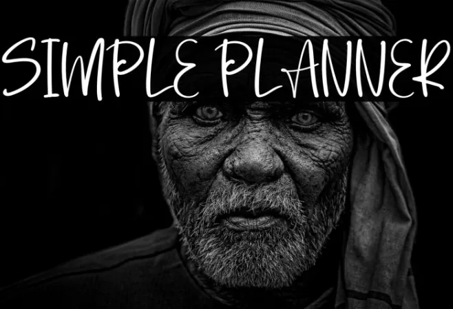 Simple Planner Example 1