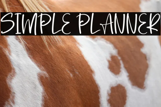 Simple Planner Example 2