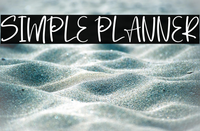 Simple Planner Example 3
