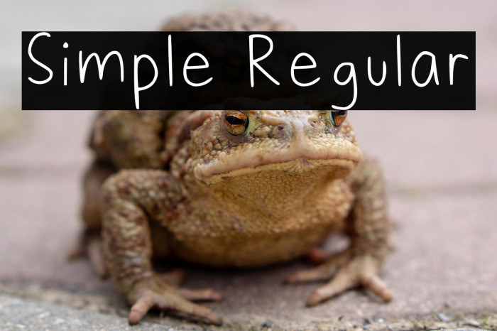 Simple Regular Example 1