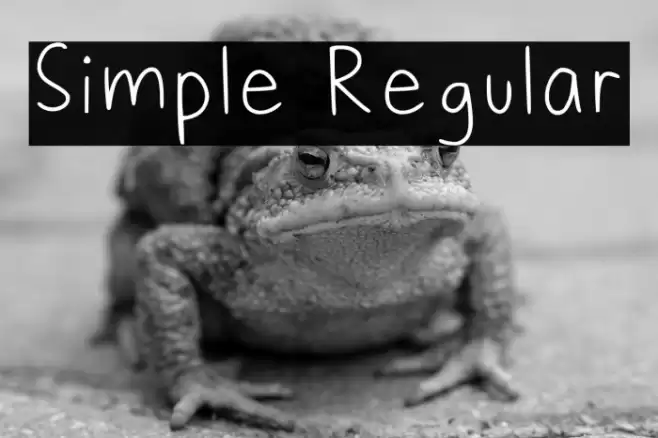 Simple Regular Fuentes examples
