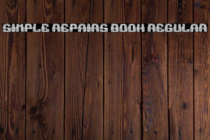 Simple Repairs Book Regular Example 2