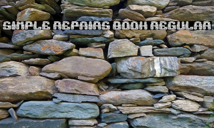 Simple Repairs Book Regular Example 3