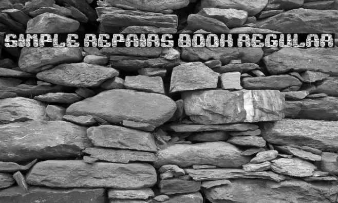 Simple Repairs Book Regular Font examples