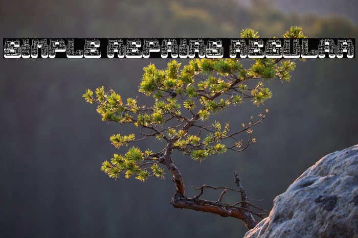 Simple Repairs Regular Example 1