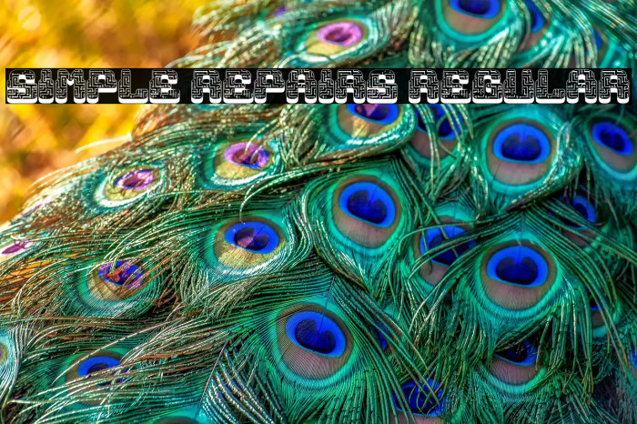 Simple Repairs Regular Example 2