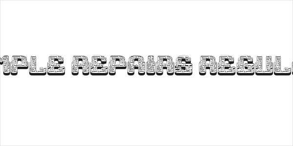 Simple Repairs Regular Logo