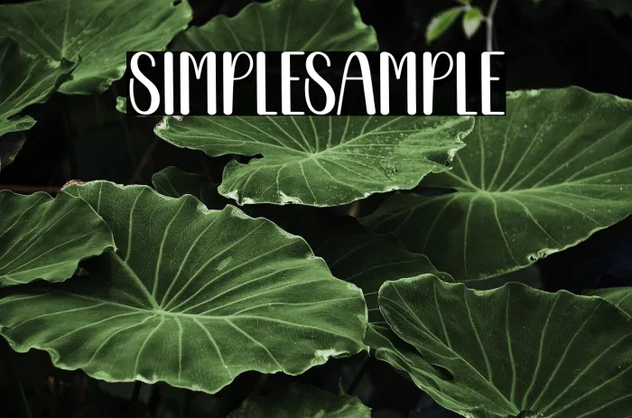 Simple Sample Example 1