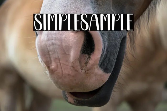 Simple Sample Example 2