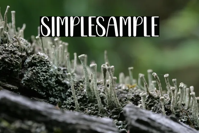 Simple Sample Example 3