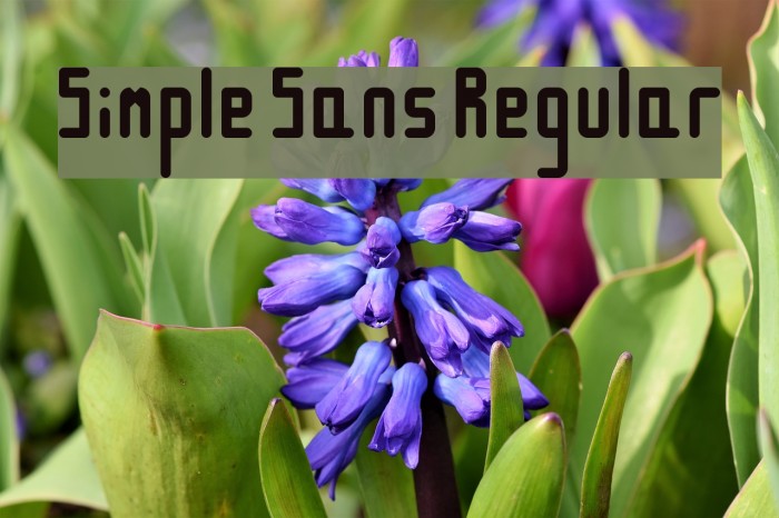 Simple Sans Regular Font examples