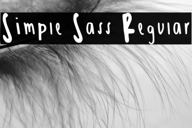 Simple Sass Regular Caratteri examples