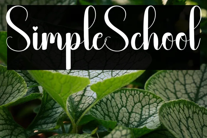 Simple School Example 1