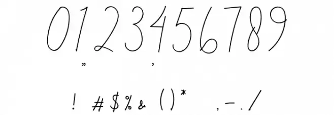 Simple Signature Font OTHER CHARS