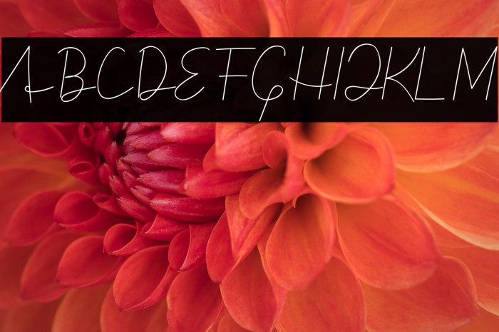 Simple Signature Example 3