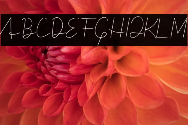 Simple Signature Example 3