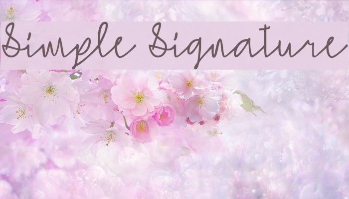 Simple Signature Font examples