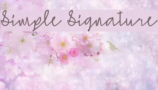 Simple Signature Example 1