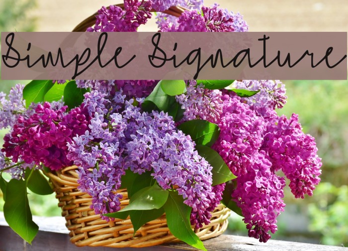 Simple Signature Font examples