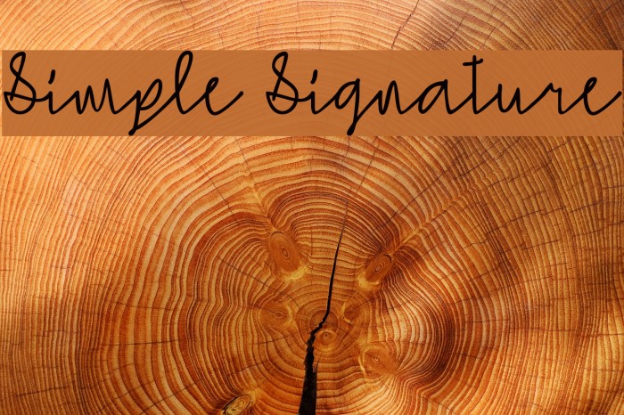 Simple Signature Font examples