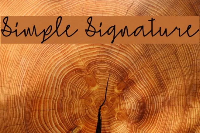 Simple Signature Example 3