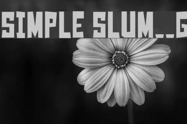 Simple Slum__G Font examples