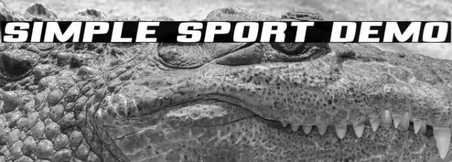 Simple Sport Demo フォント examples