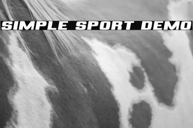 Simple Sport Demo フォント examples
