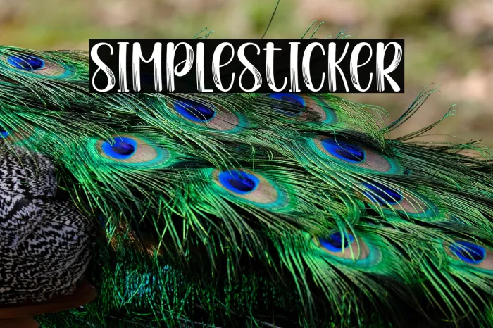 Simple Sticker Example 1