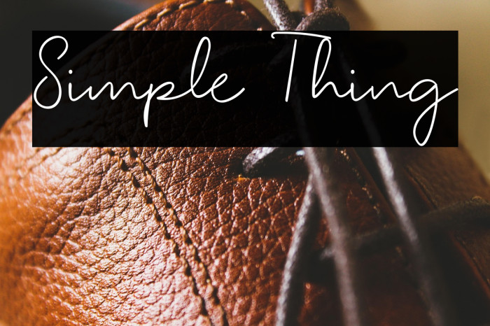 Simple Thing Example 1