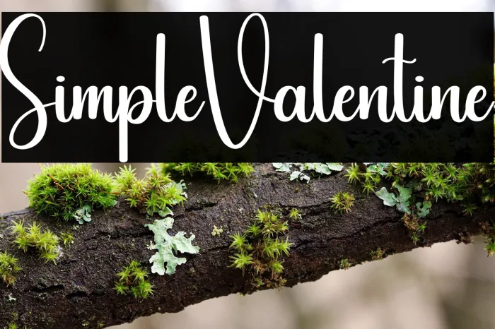 Simple Valentine Example 3