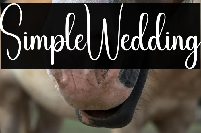 Simple Wedding Example 3