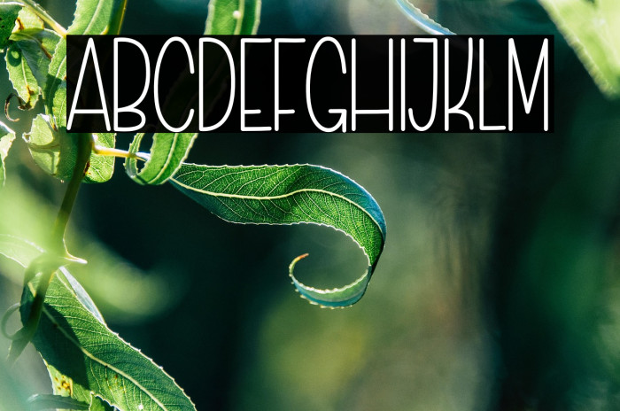 Simple Work Font examples