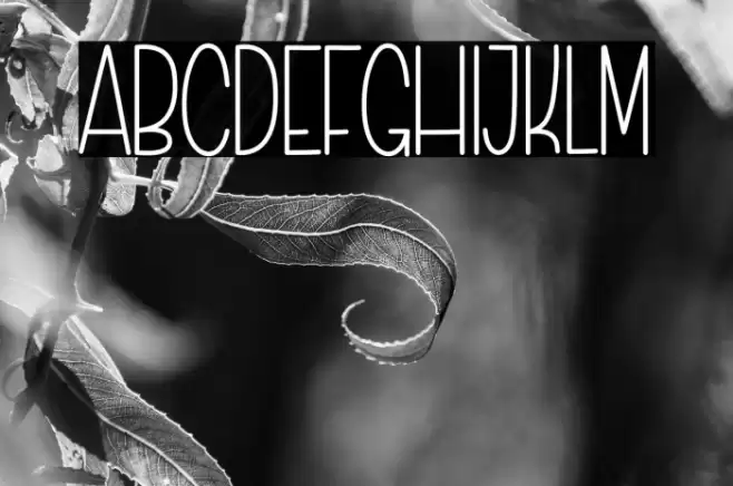 Simple Work फ़ॉन्ट examples