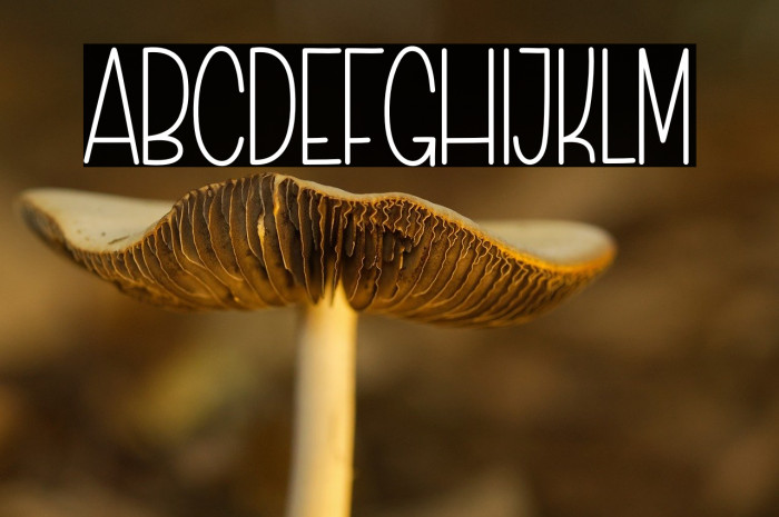 Simple Work Font examples