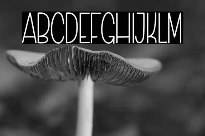 Simple Work फ़ॉन्ट examples