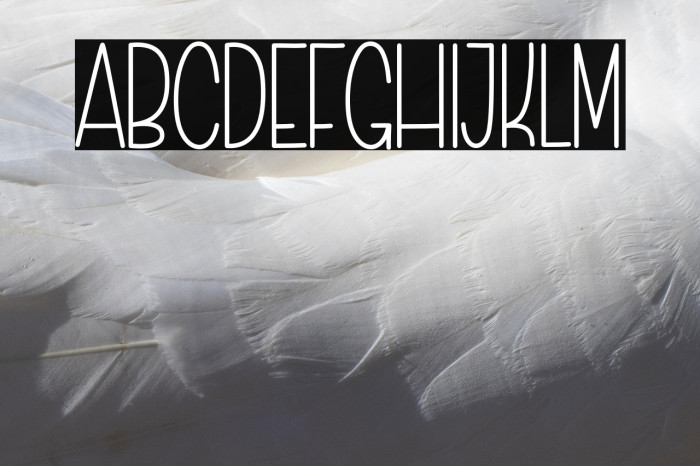 Simple Work Font examples