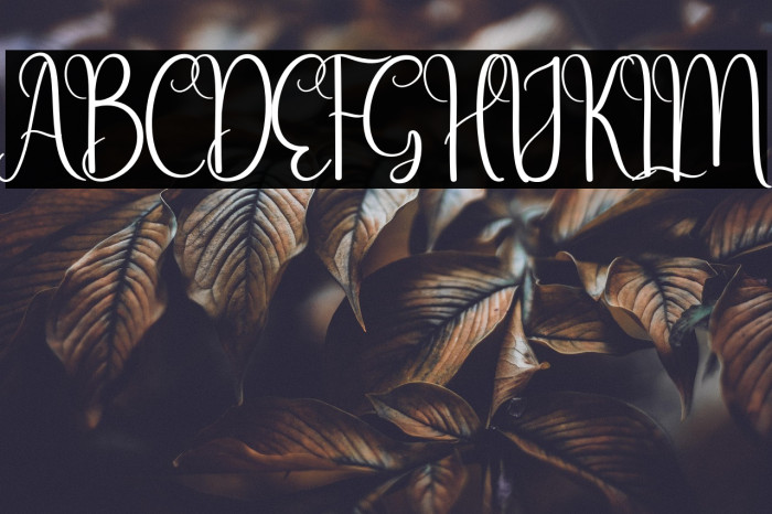 Simple Writing Example 3