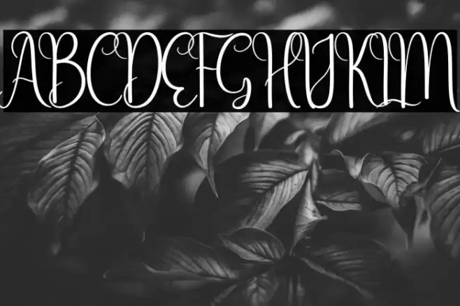 Simple Writing Font examples