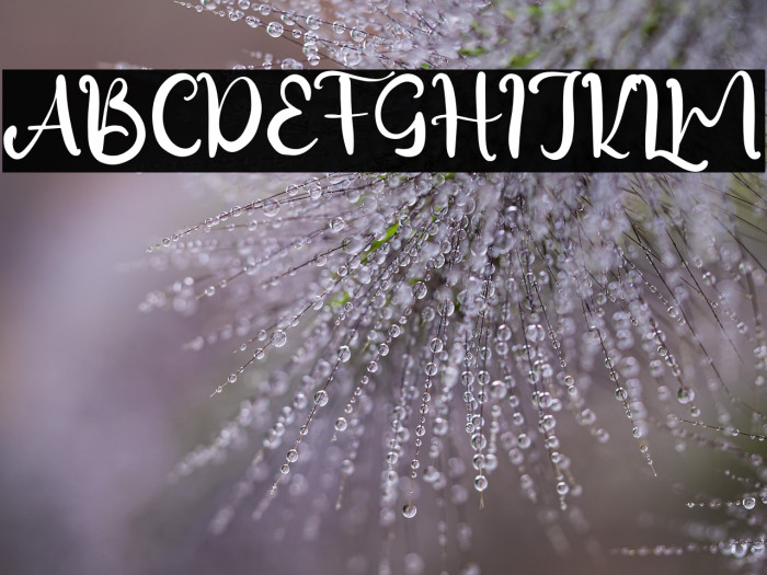 SimpleBeauty Example 2